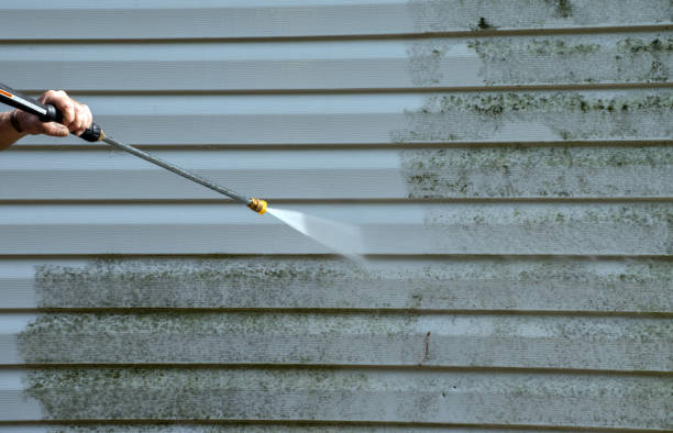 Best Eco-Friendly Pressure Washing in Lake Summerset, IL