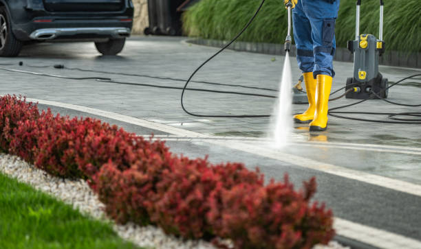 Professional  Pressure Washing in Lake Summerset, IL