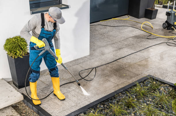 Best Specialty Cleaning in Lake Summerset, IL